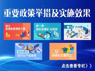 重要政策舉措及實施效果